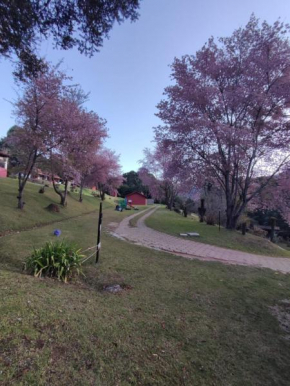 Residencial das Araucárias